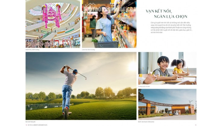 Hành trình chọn nhà của tôi: Vì sao cuối cùng tôi chọn Setia Gardens?